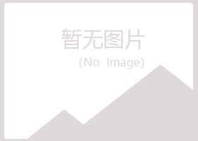 宁夏沛文工程有限公司